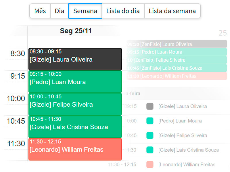 Visualização de detalhes dos atendimentos da agenda