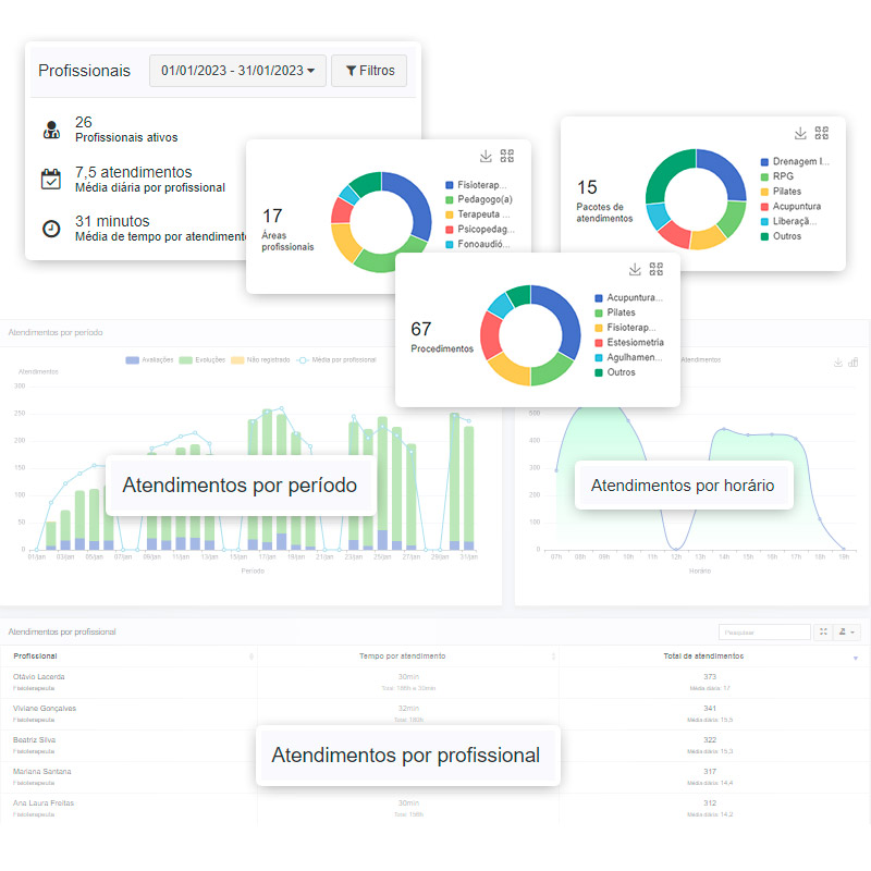 Relatórios de atendimentos por profissionais